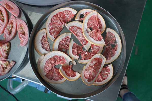 冷凍干燥機(jī) 冷凍干燥機(jī)